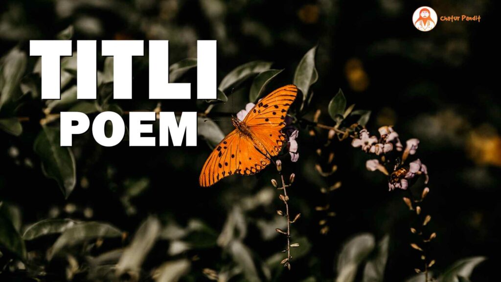 Butterfly Queen, my life is yours | Titli Poem Lyrics in Hindi