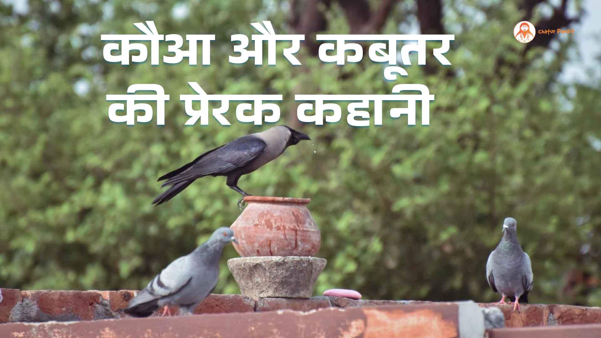 कौआ और कबूतर की प्रेरक कहानी