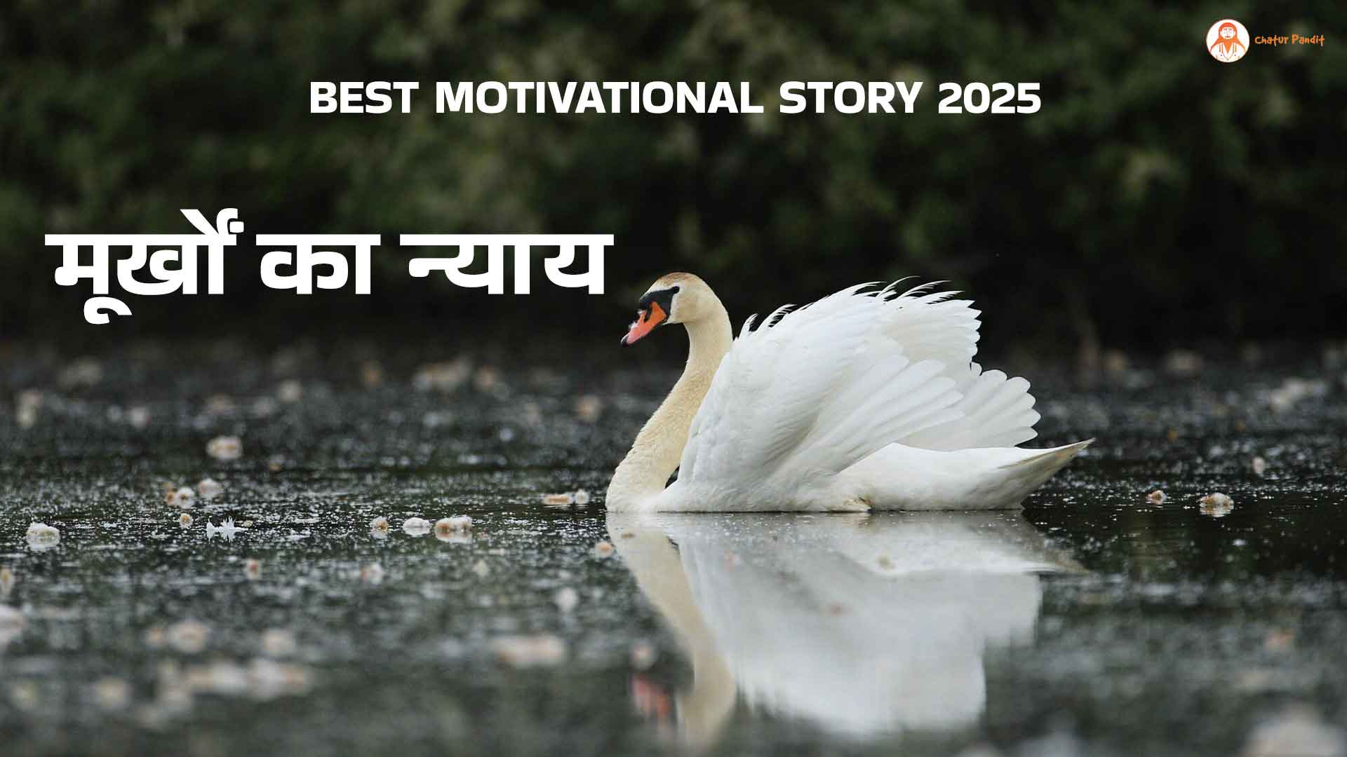 मूर्खों का न्याय Inspirational Story